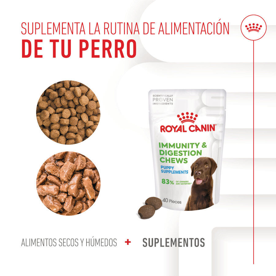 100 g Royal Canin Immunity & Digestion Chews Puppy Suplemento Nutricional para C&atilde;es, , large Imagem n&uacute;mero 9