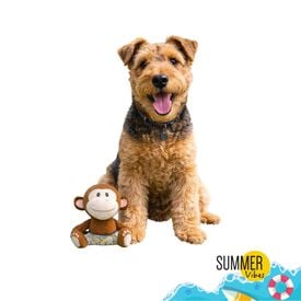 Summer Vibes Dolce Vita Monkey Peluche para c&atilde;es