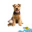 Summer Vibes Dolce Vita Monkey Peluche para c&atilde;es, , large Indicador imagem n&uacute;mero 6