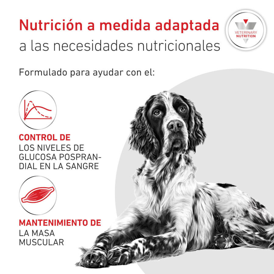 7 kg Royal Canin Veterinary Diabetic ra&ccedil;&atilde;o para c&atilde;es , , large Imagem n&uacute;mero 3
