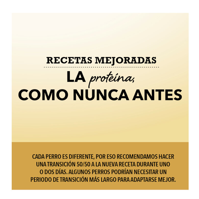 11.4 kg Acana Pacífica ração para cães,  Imagem número 4 11.4 kg Acana Pacífica ração para cães, , large Imagem número 4