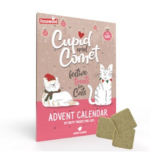Rosewood Calendário do Advento para gato