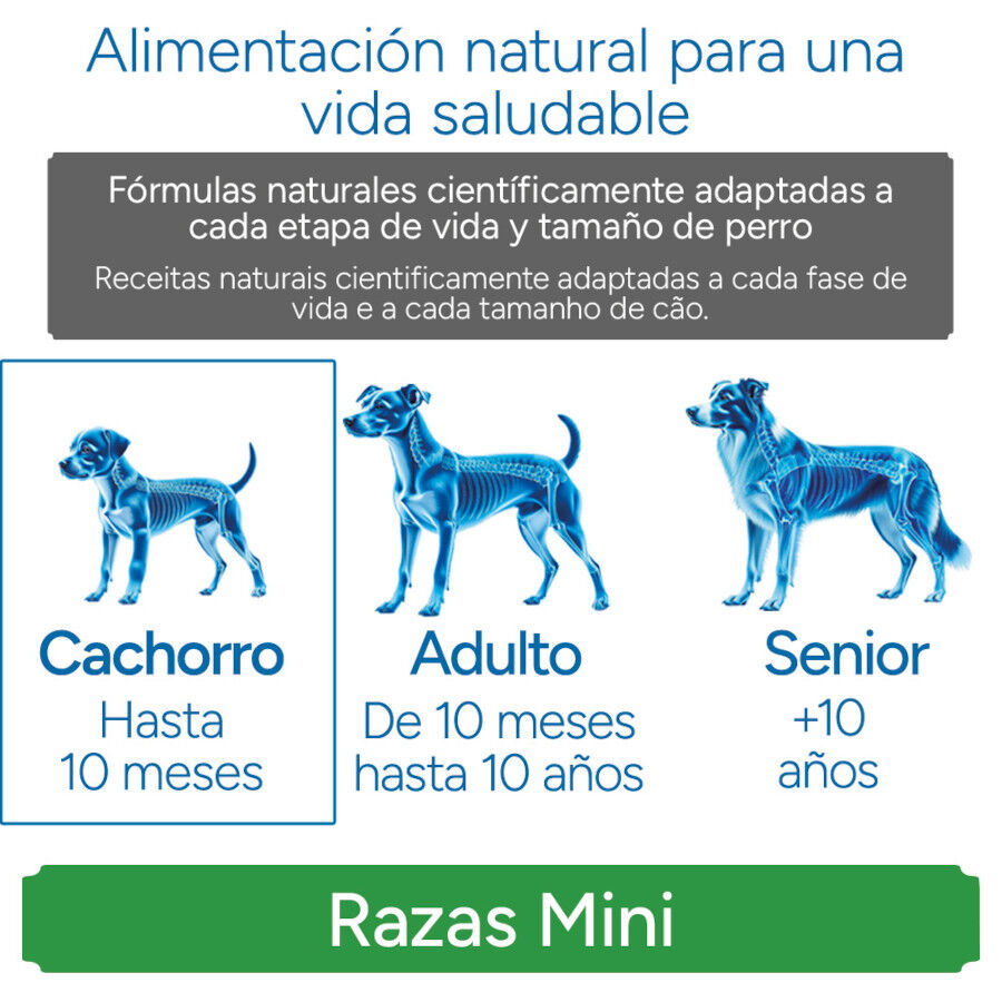 Criadores Cient&iacute;fico Mini Ra&ccedil;&atilde;o de frango para cachorros, , large Imagem n&uacute;mero 11