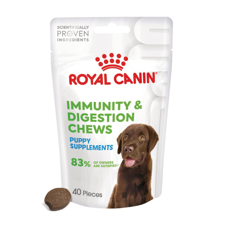 100 g Royal Canin Immunity & Digestion Chews Puppy Suplemento Nutricional para Cães,  Imagem número 1 100 g Royal Canin Immunity & Digestion Chews Puppy Suplemento Nutricional para Cães, , large Imagem número 1