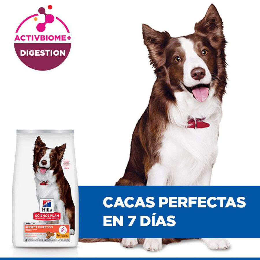 14 kg Hill'sScience Plan Perfect Digestion Medium Adult Ra&ccedil;&atilde;o de frango para c&atilde;es, , large Imagem n&uacute;mero 6