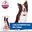 14 kg Hill'sScience Plan Perfect Digestion Medium Adult Ração de frango para cães, , large Indicador imagem número 6