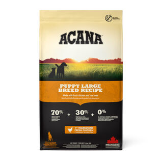 Acana Puppy Large Breed Frango Ração para cães