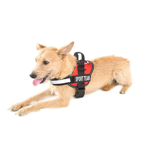 TK-Pet Himalaya para perros Imagem n&uacute;mero 1