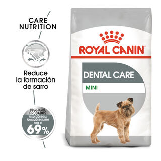 Royal Canin Mini Dental Care ração para cães