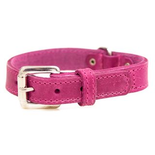 TK-Pet Namur Coleira de Couro Cor-de-rosa para cães