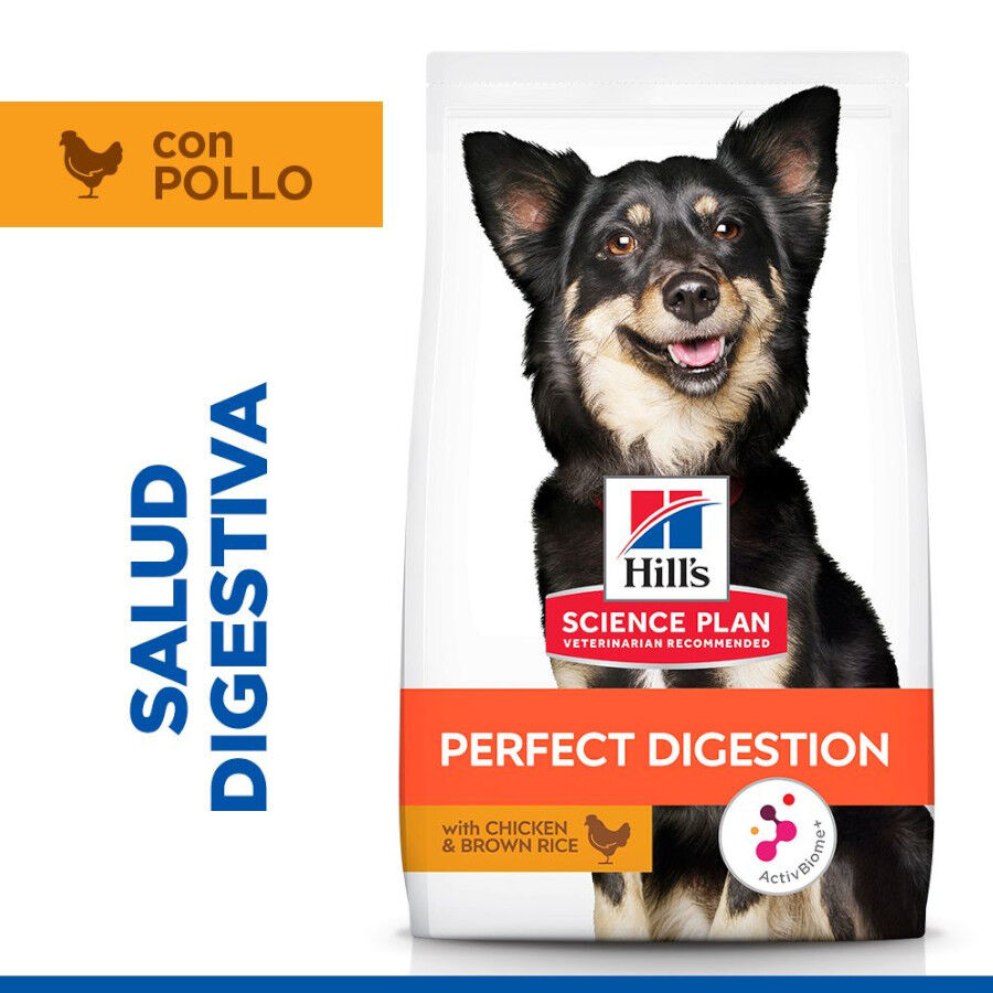 3 kg Hill'sScience Plan Perfect Digestion Small & Mini Adult Ra&ccedil;&atilde;o de frango para c&atilde;es, , large Imagem n&uacute;mero 2