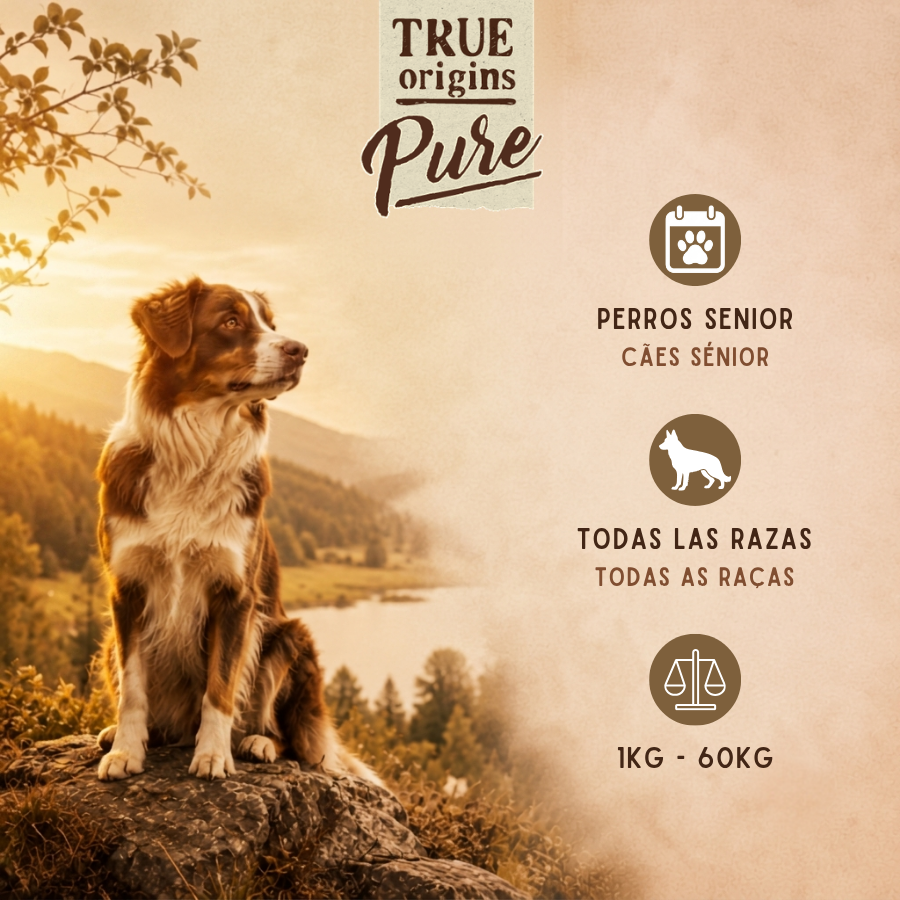 12 kg True Origins Pure Grain Free Senior Ra&ccedil;&atilde;o de frango para c&atilde;es, , large Imagem n&uacute;mero 3