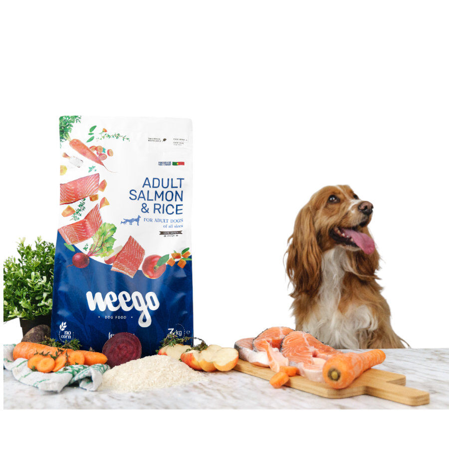 Weego Low Grain Ra&ccedil;&atilde;o de salm&atilde;o e arroz para c&atilde;es, , large Imagem n&uacute;mero 4