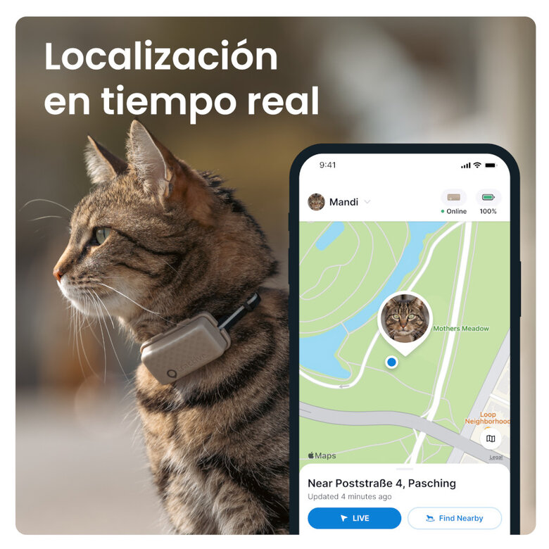 Tractive Cat Mini Rastreador GPS Marrom para Gatos,  Imagem número 6 Tractive Cat Mini Rastreador GPS Marrom para Gatos, , large Imagem número 6