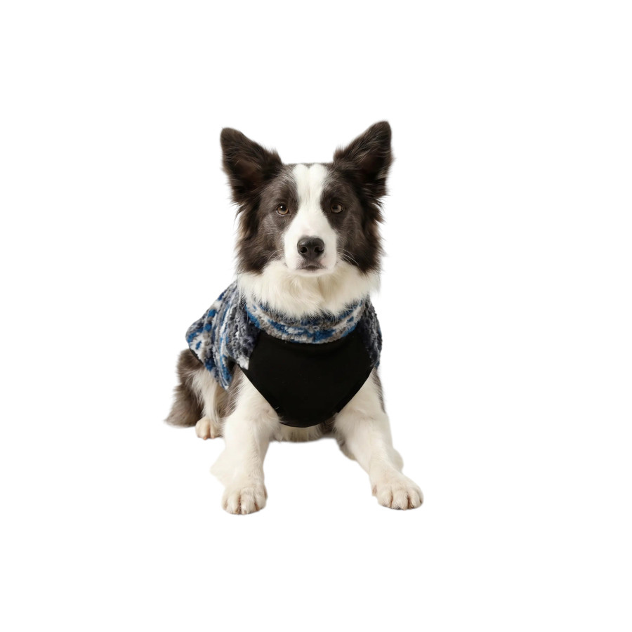 Gotoo Camisola Sherpa com Padr&atilde;o Retro para c&atilde;es, , large Imagem n&uacute;mero 7