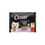 4 saquetas x 100 g Cesar Mistura de Carnes Geleia em Saquinho para C&atilde;es S&eacute;nior - Multipack, , large Indicador imagem n&uacute;mero 1
