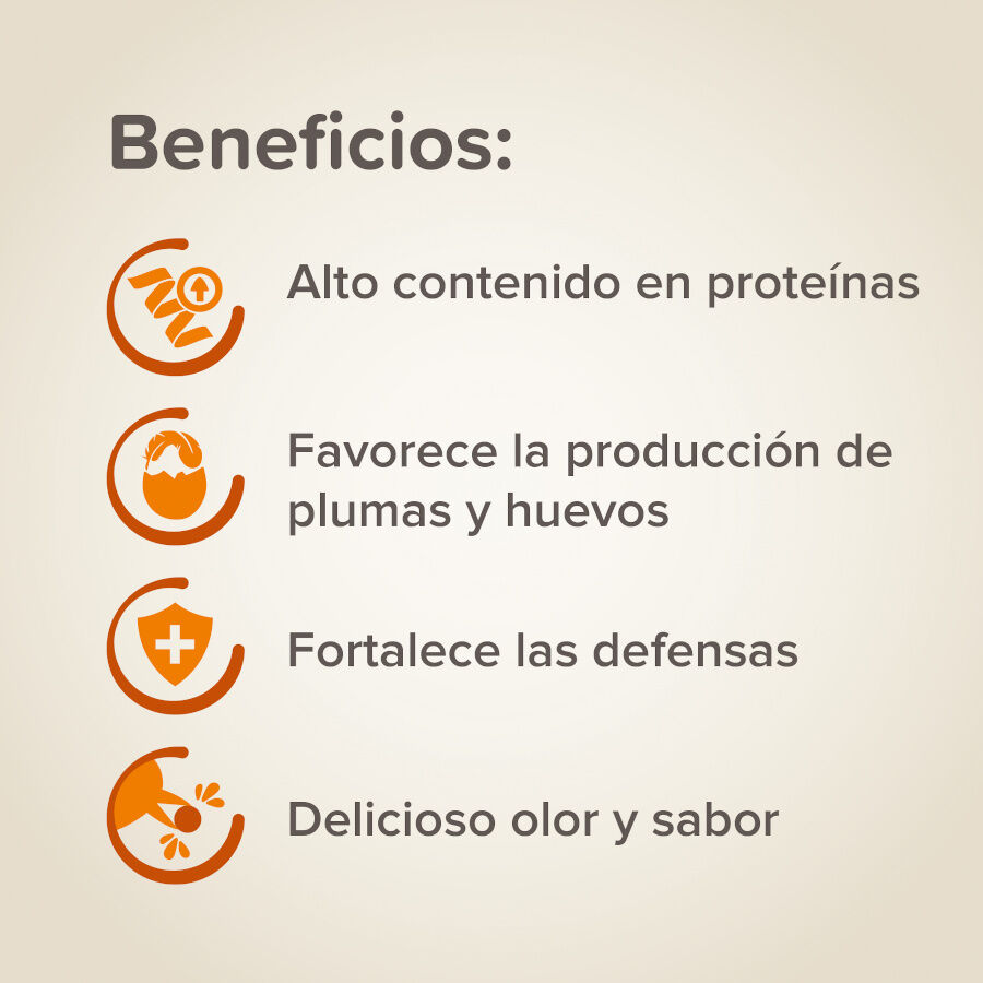 Pasta de ovo Beaphar para p&aacute;ssaros, , large Imagem n&uacute;mero 3