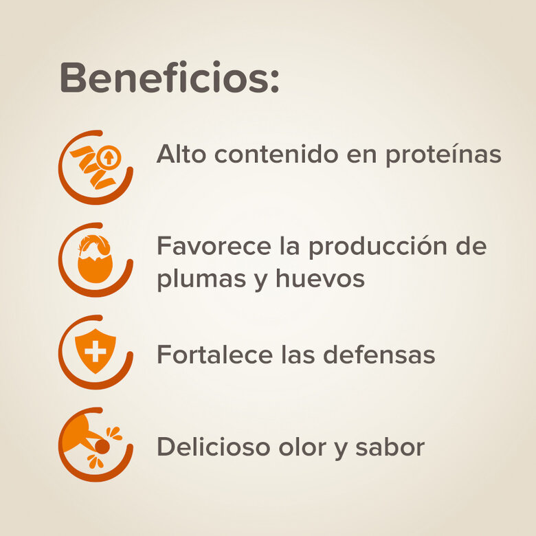 Pasta de ovo Beaphar para pássaros,  Imagem número 3 Pasta de ovo Beaphar para pássaros, , large Imagem número 3