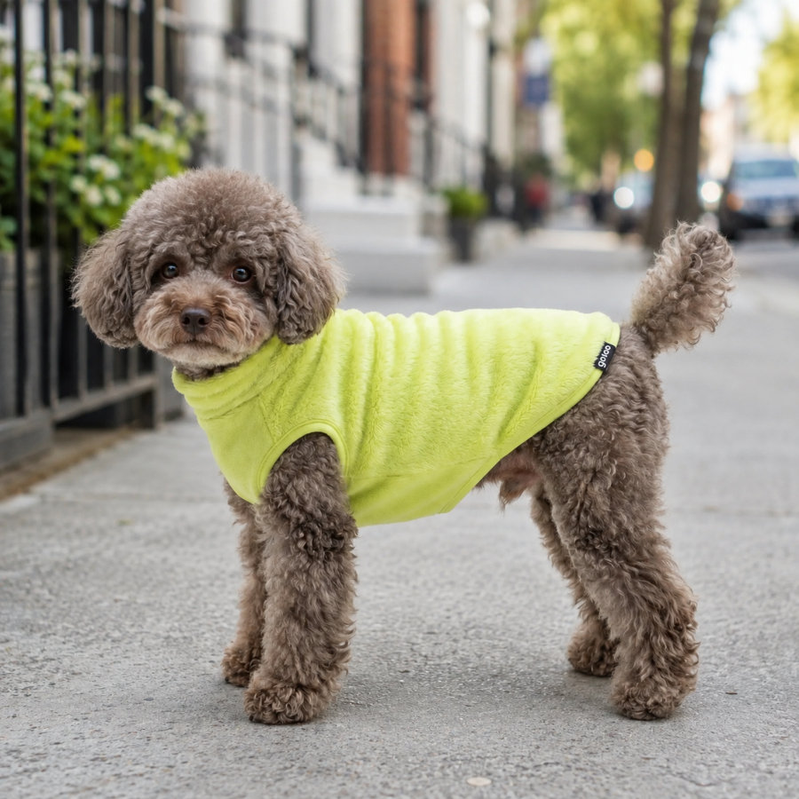 Gotoo Camisola Polar Verde-Lima para c&atilde;es, , large Imagem n&uacute;mero 1