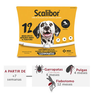 Scalibor Coleira Desparasitante para cães