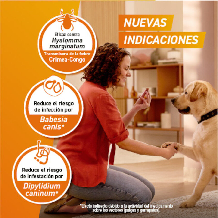 Frontpro Comprimidos Mastig&aacute;veis Antiparasit&aacute;rios para c&atilde;es, , large Imagem n&uacute;mero 7