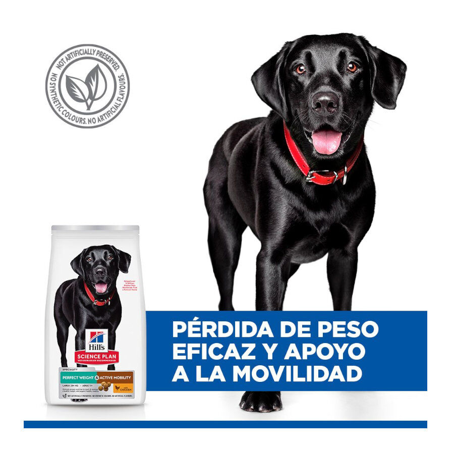 12 kg Hill's Science Plan Perfect Weight y Active Mobility frango ra&ccedil;&atilde;o para c&atilde;es, , large Imagem n&uacute;mero 5