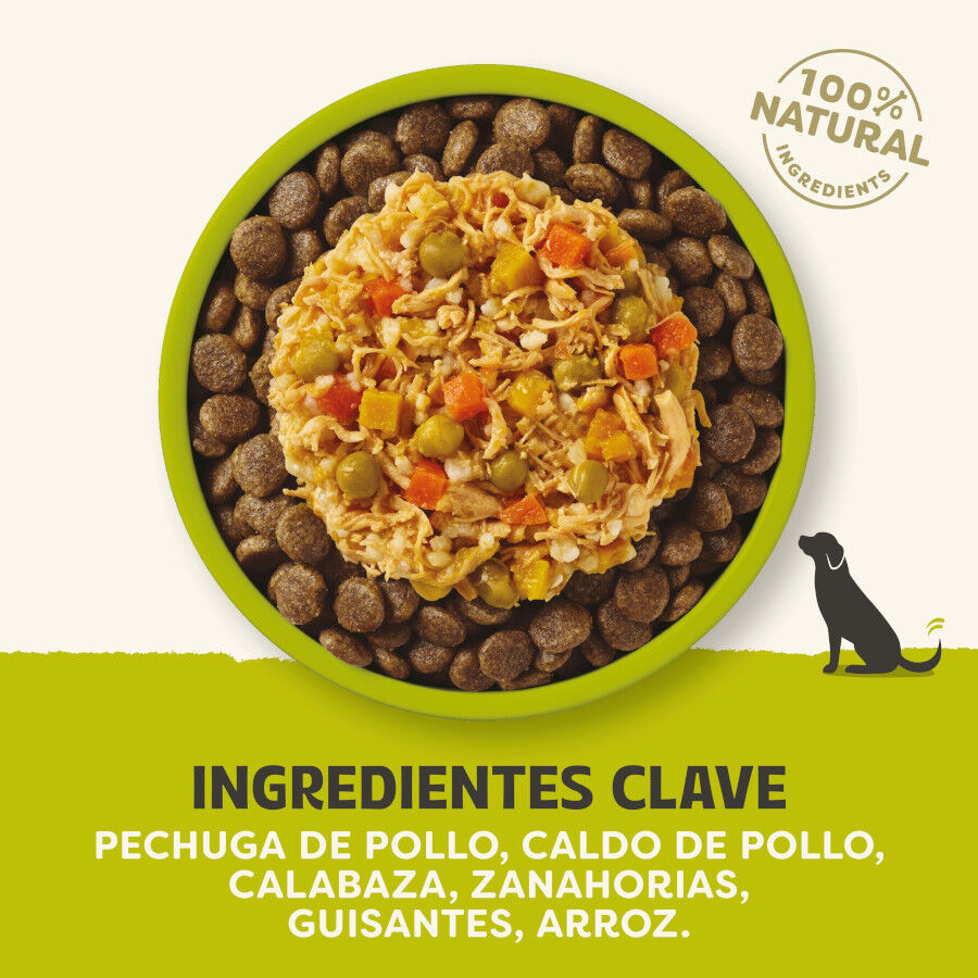 156 g Applaws Taste Toppers Frango com Legumes em Molho lata para c&atilde;es, , large Imagem n&uacute;mero 4