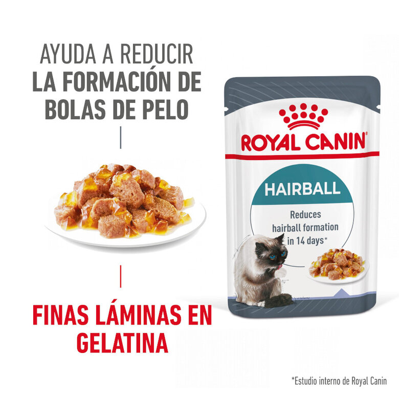 Royal Canin Hairball Care Saquetas em Gelatina para gatos, , large image number null