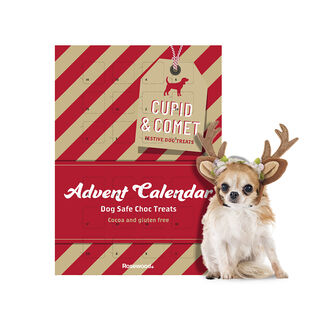Guau Christmas Rosewood Cupid&Comet Calendário do Advento para cães