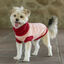 Freedog Elsinor Camisola para cães, , large Indicador imagem número 2