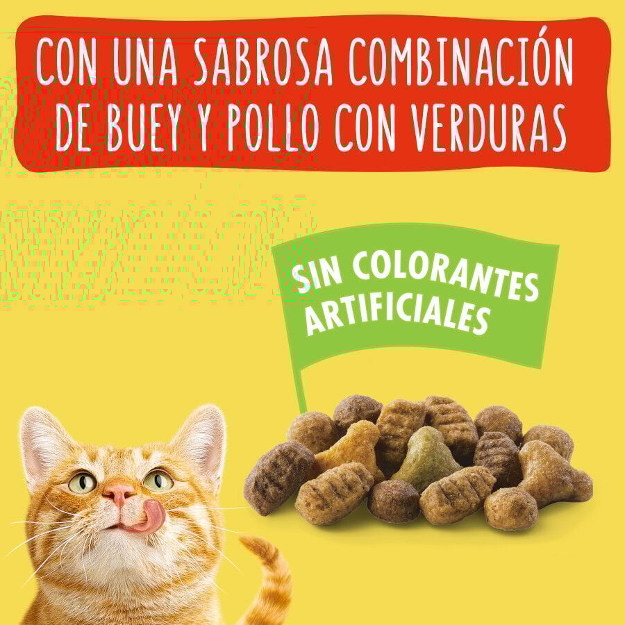 20 kg Friskies Adult Vaca, Frango e Legumes ra&ccedil;&atilde;o para gatos, , large Imagem n&uacute;mero 9