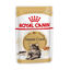 85 g Royal Canin Maine Coon alimento húmido para gatos, , large Indicador imagem número 1