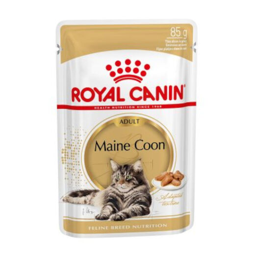 Royal Canin Maine Coon alimento húmido para gatos, , large image number null