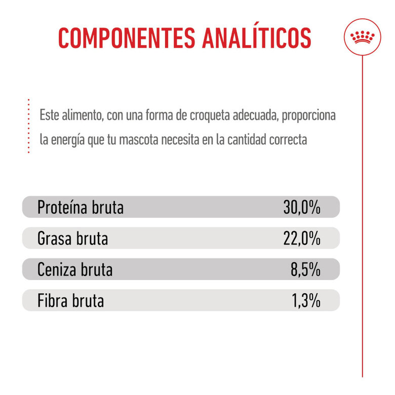 Royal Canin Mini Starter MothereBaby ração para cães,  Imagem número 9 Royal Canin Mini Starter MothereBaby ração para cães, , large Imagem número 9