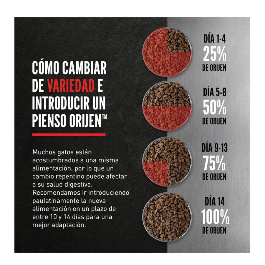 5.4 kg Orijen Regional Red ra&ccedil;&atilde;o para gatos, , large Imagem n&uacute;mero 6