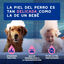 Ceva Douxo Spa Alivia Shampoo para Cães, , large Indicador imagem número 8