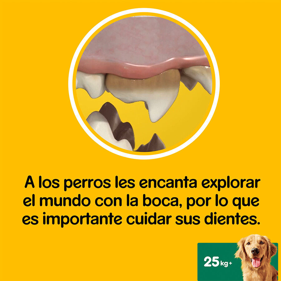 56 sticks Pedigree Dentastix Snacks Dent&aacute;rios para c&atilde;es de porte grande, , large Imagem n&uacute;mero 6