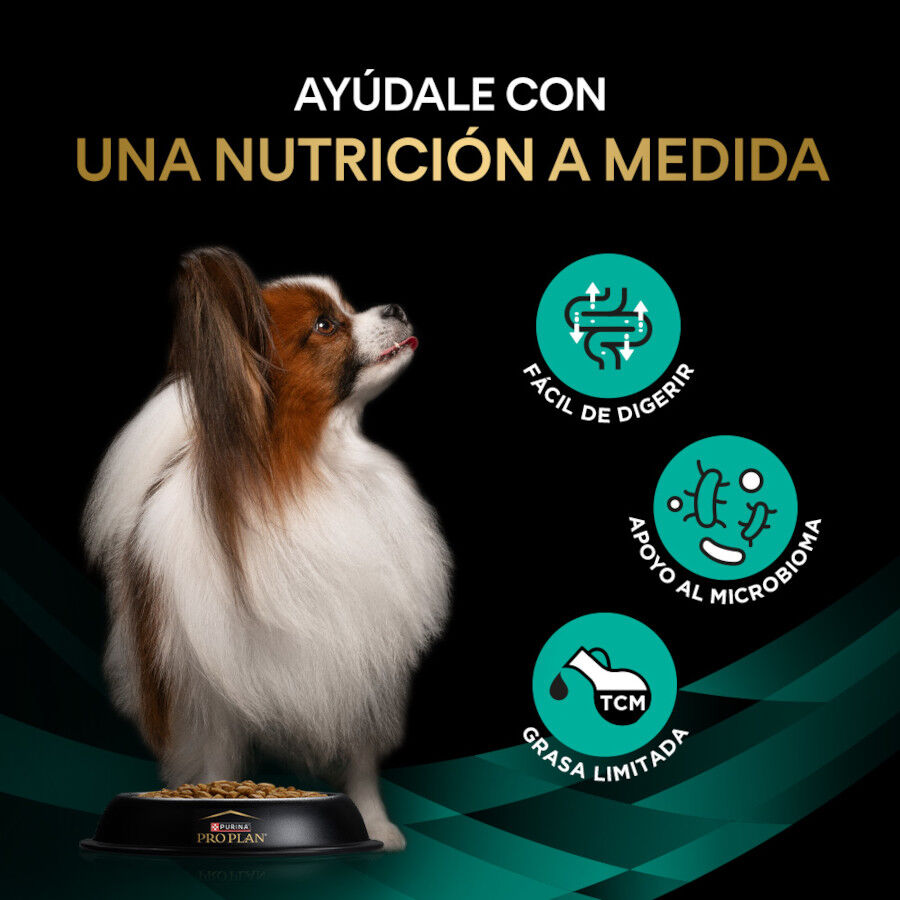 4 kg Pro Plan Veterinary Gastrointestinal Small & Mini Ra&ccedil;&atilde;o para c&atilde;es, , large Imagem n&uacute;mero 4