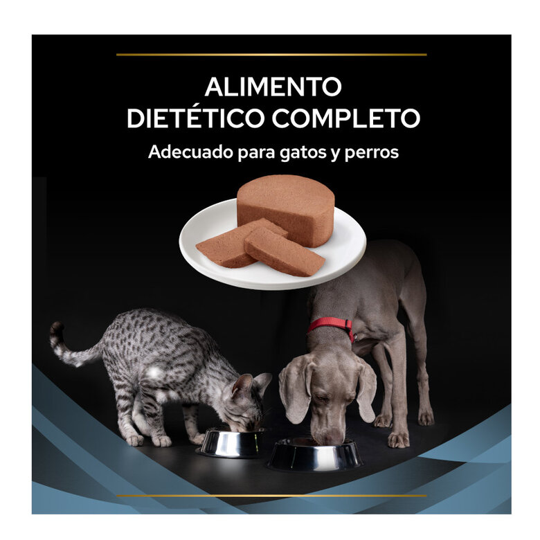 Pro Plan Veterinary Diets Convalescence latas para cães e gatos, , large image number null