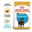 12 kg Royal Canin Puppy Rottweiler ração para cães, , large Indicador imagem número 2