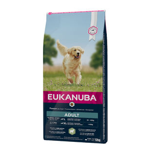 Eukanuba Adult Medium Cordeiro e Arroz ração para cães