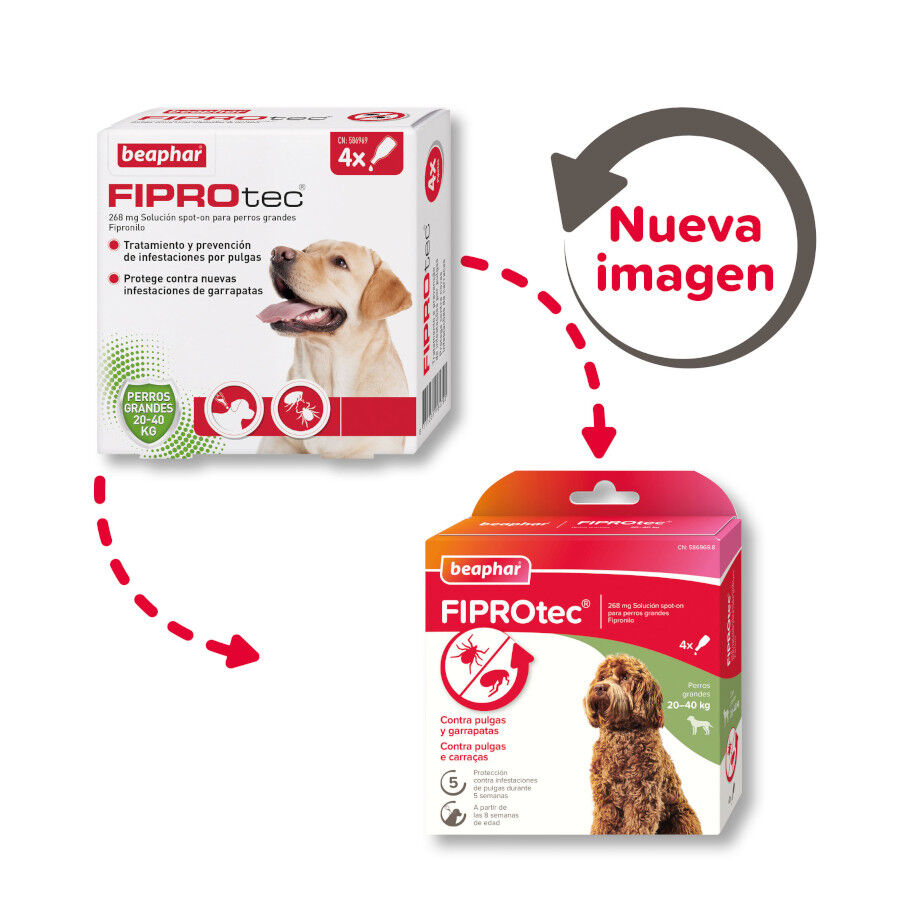 Beaphar FiproTec Pipetas Antiparasit&aacute;rias para c&atilde;es de ra&ccedil;a pequena, , large Imagem n&uacute;mero 2