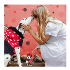 Disney Casaco Acolchoado Minnie para cães, , large image number null