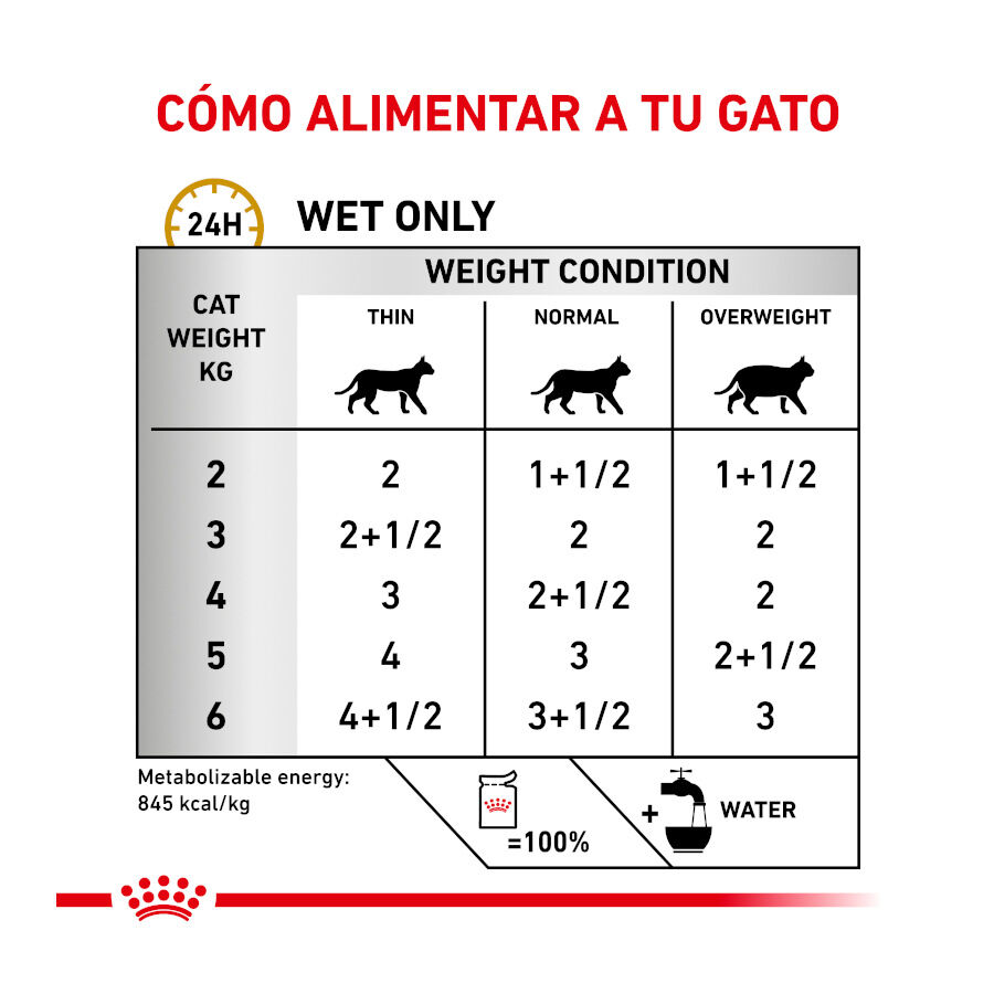 12 saquetas x 85 g Royal Canin Adult Veterinary Urinary pat&eacute; sobre para gatos, , large Imagem n&uacute;mero 5