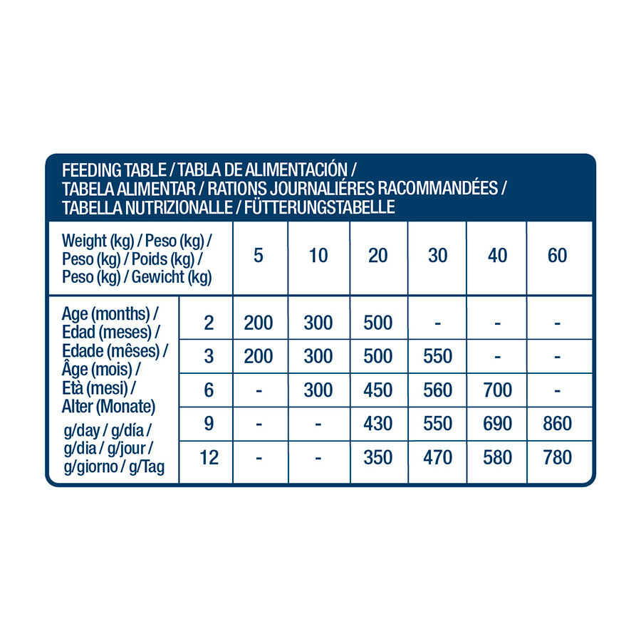 12 kg Nath Puppy Medium Maxi Frango ra&ccedil;&atilde;o para c&atilde;es, , large Imagem n&uacute;mero 4