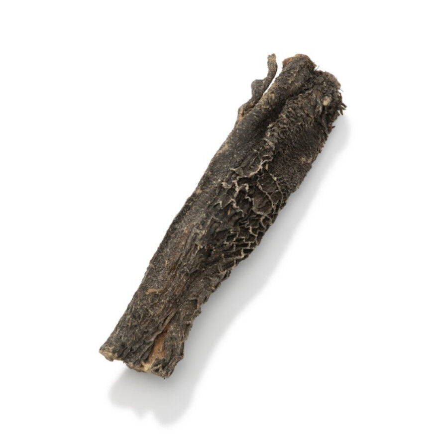 150 g Nutriment Barrita Roast Beef Vaca Snack para c&atilde;es, , large Imagem n&uacute;mero 2