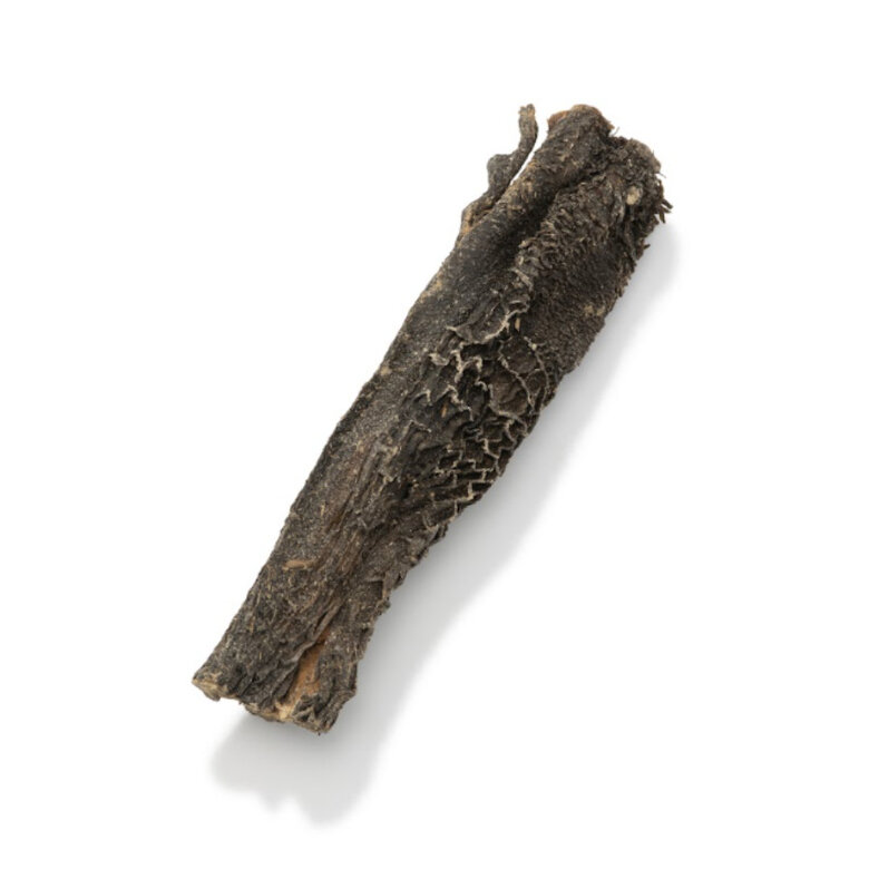 Nutriment Barrita Snack de tripa de vaca para cães ,  Imagem número 2 Nutriment Barrita Snack de tripa de vaca para cães , , large Imagem número 2