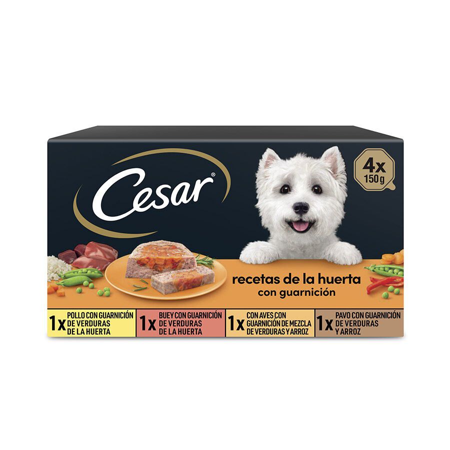 4 terrinas x 150 g Cesar Recetas da horta Terrina em Pat&ecirc; e Geleia para C&atilde;es - Multipack, , large Imagem n&uacute;mero 1