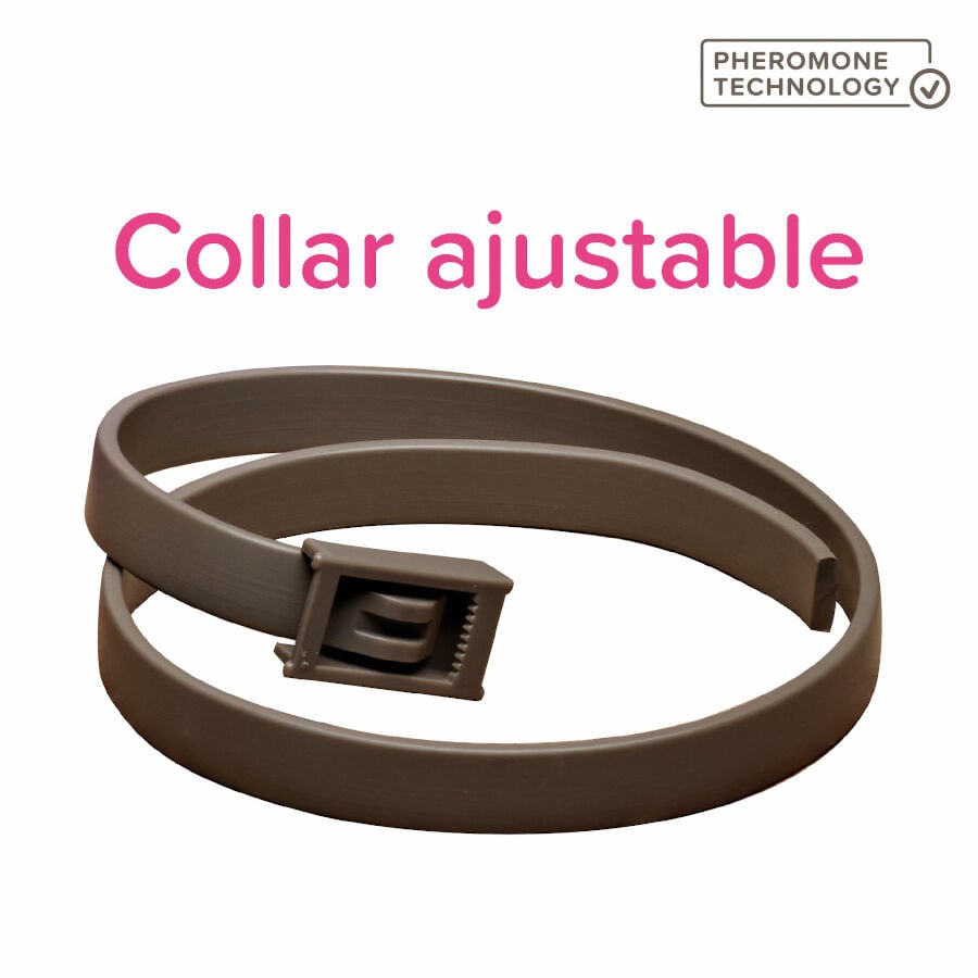 Beaphar CaniComfort Coleira Calmante 45cm para c&atilde;es , , large Imagem n&uacute;mero 2