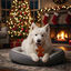 75 g Wonder Christmas Galleta de Jengibre para perros, , large Indicador imagem número 2